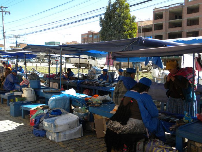 Lee más sobre el artículo Incautan 4 toneladas de alimentos de contrabando en El Alto