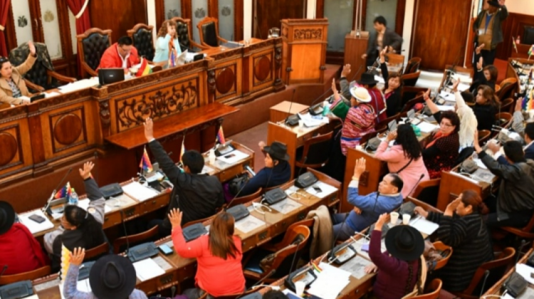 Lee más sobre el artículo El MAS hace prevalecer su mayoría y sanciona en Diputados Ley que busca ‘ impunidad’ para Evo