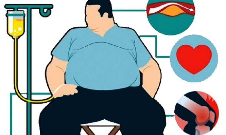 Lee más sobre el artículo La obesidad se convierte en una de las principales causas de muerte en el mundo