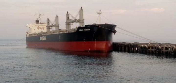 Lee más sobre el artículo Nuevo cargamento boliviano de 10.679 toneladas arriba a puerto de Ilo