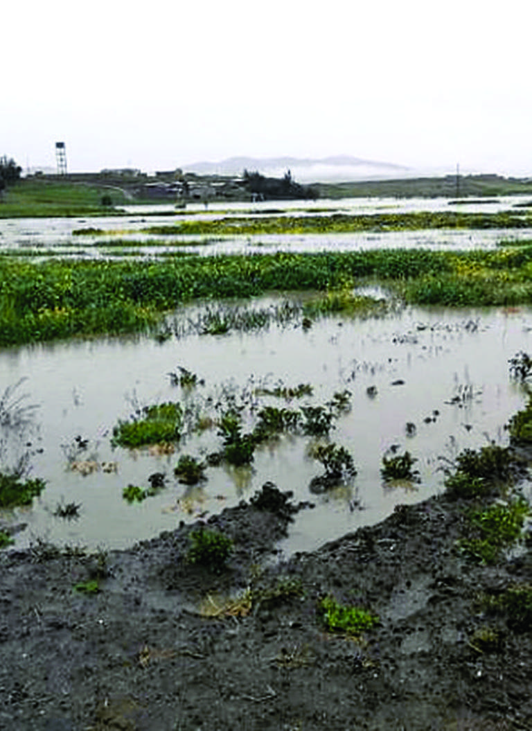 Lee más sobre el artículo Se desborda al río Keka y causa pérdida de cultivos en Achacachi
