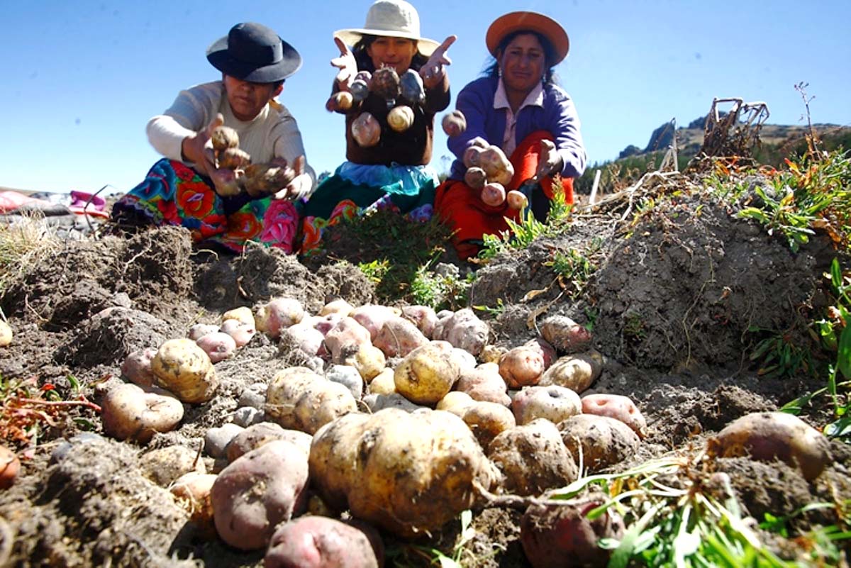 Lee más sobre el artículo Pequeños productores agropecuarios piden rebaja de intereses bancarios para reactivar al sector en el país