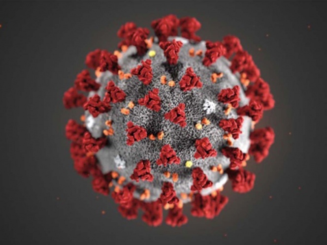 Lee más sobre el artículo OMS alerta que el calor no mata el coronavirus