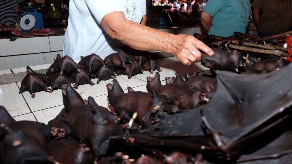 Lee más sobre el artículo Coronavirus: China levantó su cuarentena y volvió a vender carne de murciélago