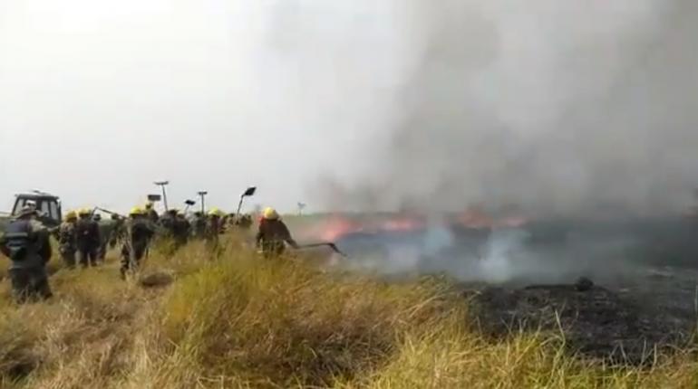 Lee más sobre el artículo Fuego consumió 5.000 hectáreas en Otuquis