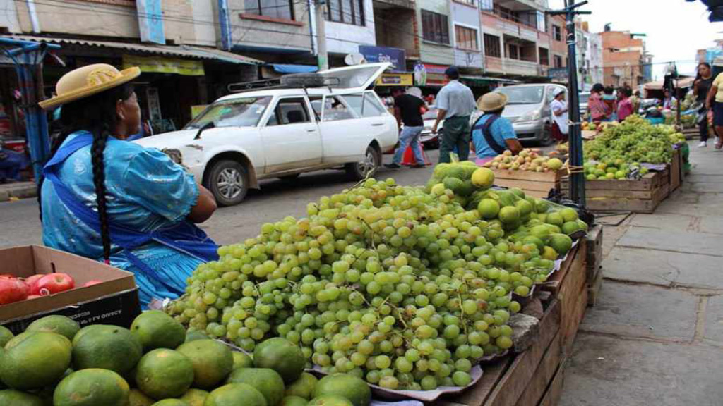 Lee más sobre el artículo Productores de uva de Tarija protestan por importación de mosto e ingreso de uva de contrabando