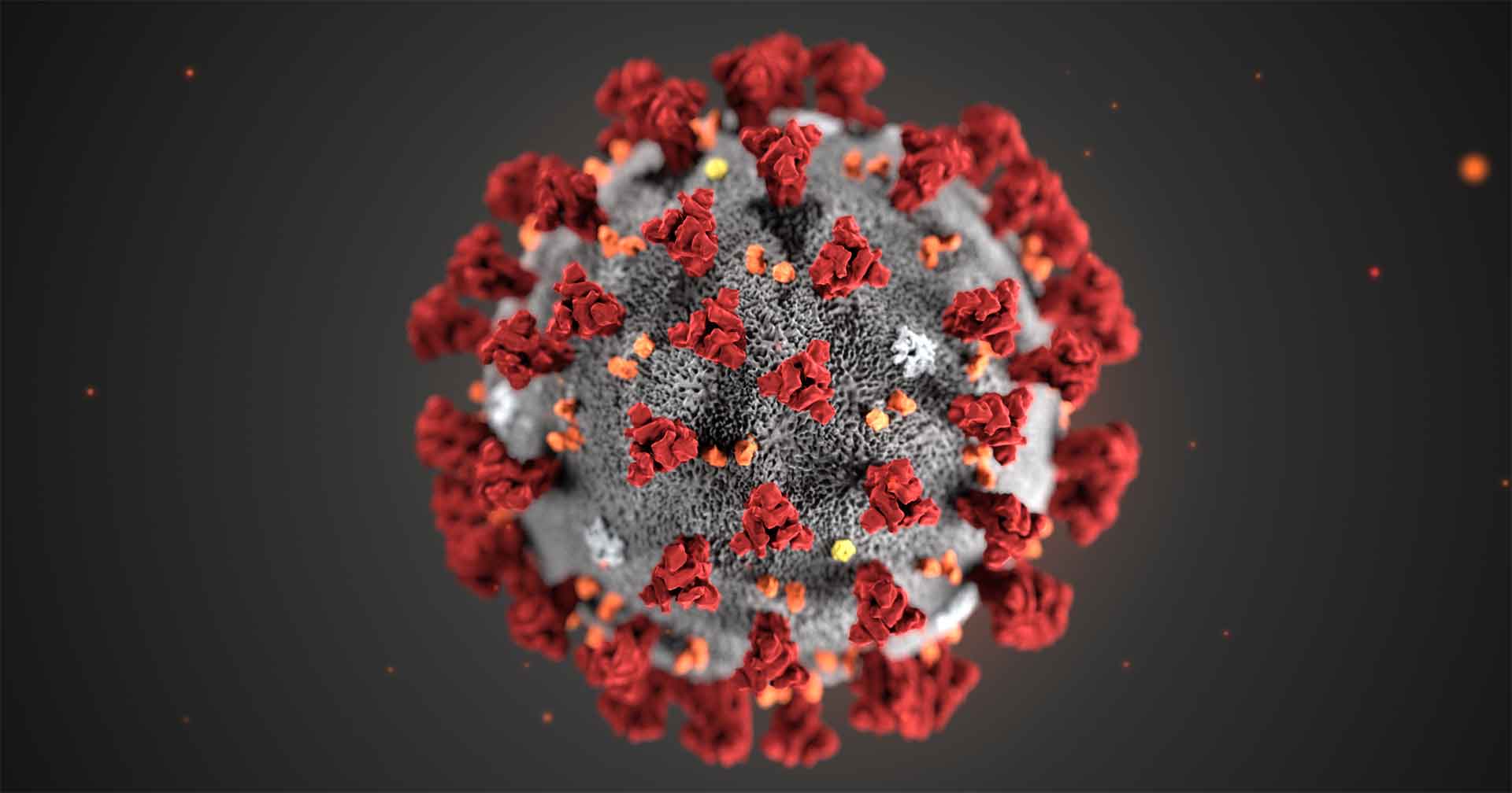Lee más sobre el artículo El coronavirus puede sobrevivir varios días sobre la superficie de algunos objetos.