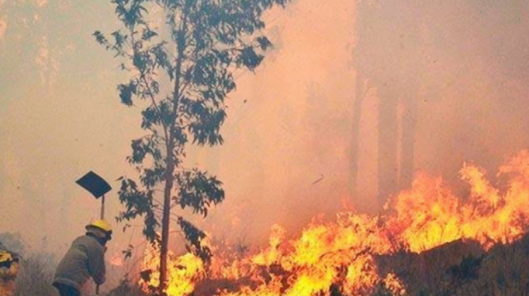 Lee más sobre el artículo Hay 673 focos de calor en Bolivia; Otuquis sigue ardiendo