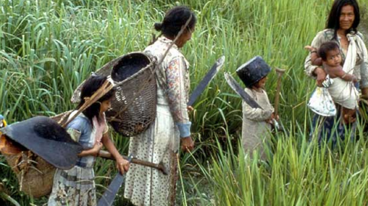Lee más sobre el artículo Covid’19 llega a indígenas de Colombia y hay 10 en observación en Brasil