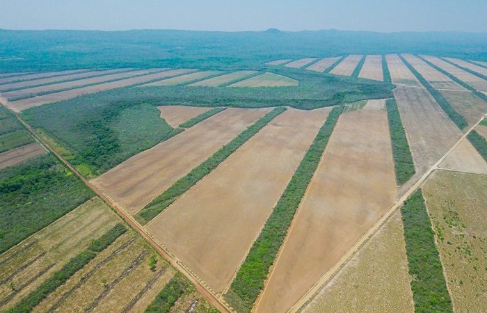 Lee más sobre el artículo Fundación Tierra denuncia descarada privatización de tierras fiscales a favor de agroindustriales en Santa Cruz