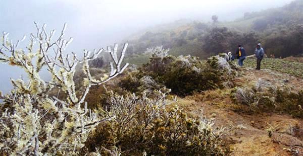 Lee más sobre el artículo Vuelve el Sur a Santa Cruz de la Sierra y alertan cero grados en los Valles