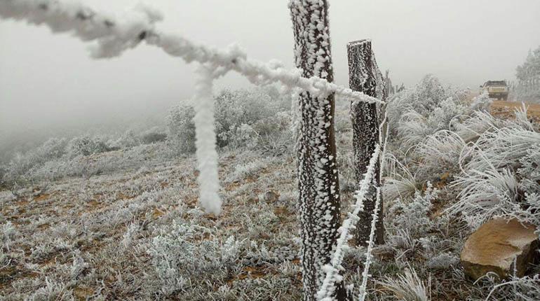 Lee más sobre el artículo Postrervalle, El Trigal y Vallegrande registran temperaturas hasta 2 grados