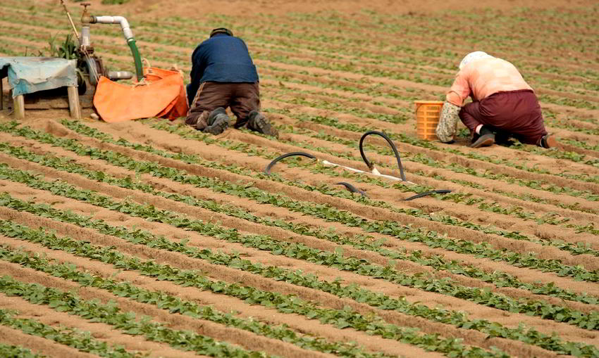 Lee más sobre el artículo Se requieren al menos 873,9 millones $ para reactivar el  agro