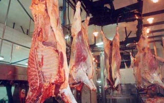 Lee más sobre el artículo Bolivia obtiene nueva certificación internacional que mejora las condiciones para exportar carne