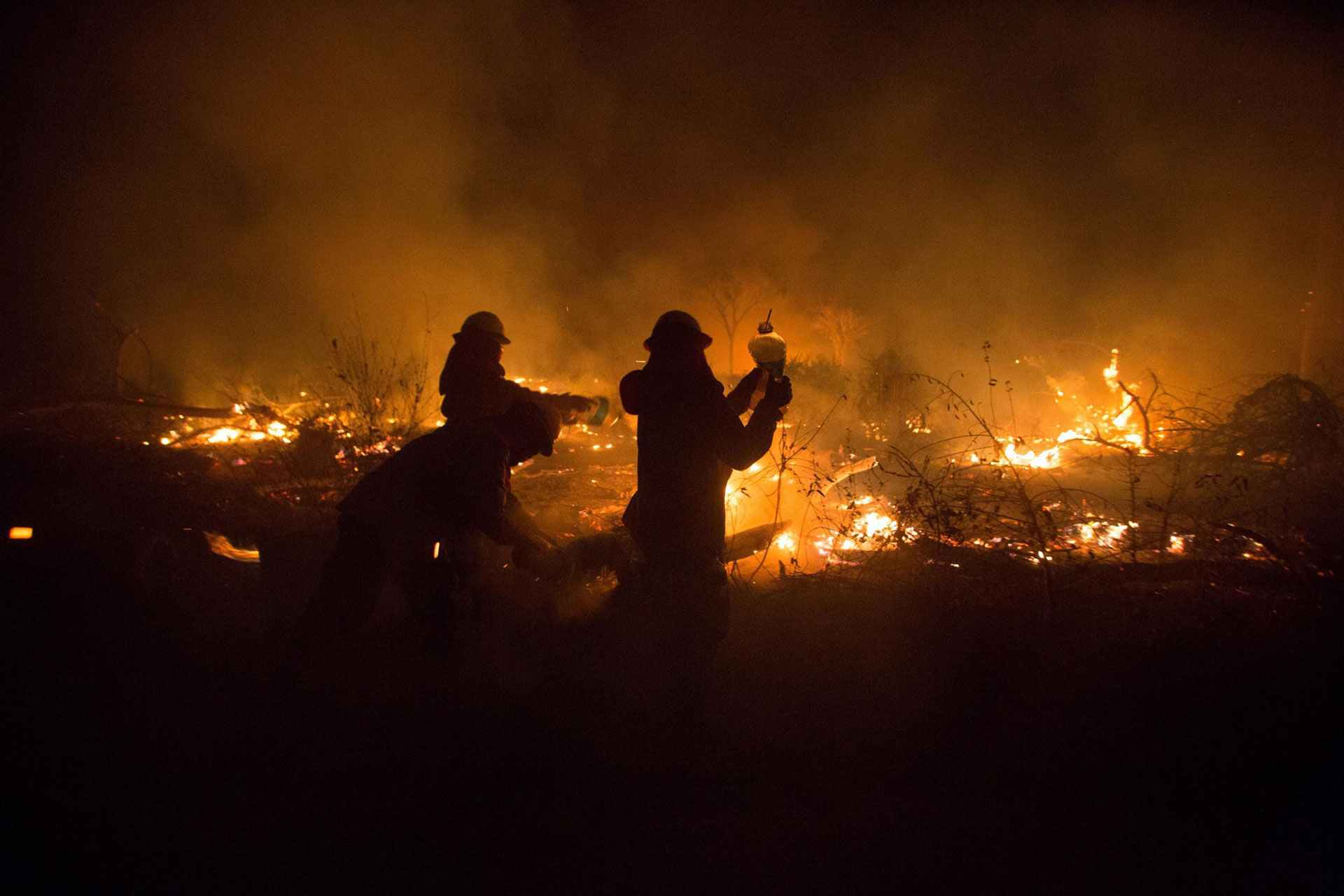 Lee más sobre el artículo El fuego amenaza otra vez a la Chiquitania, el parque Otuquis ya perdió 25.000 hectáreas