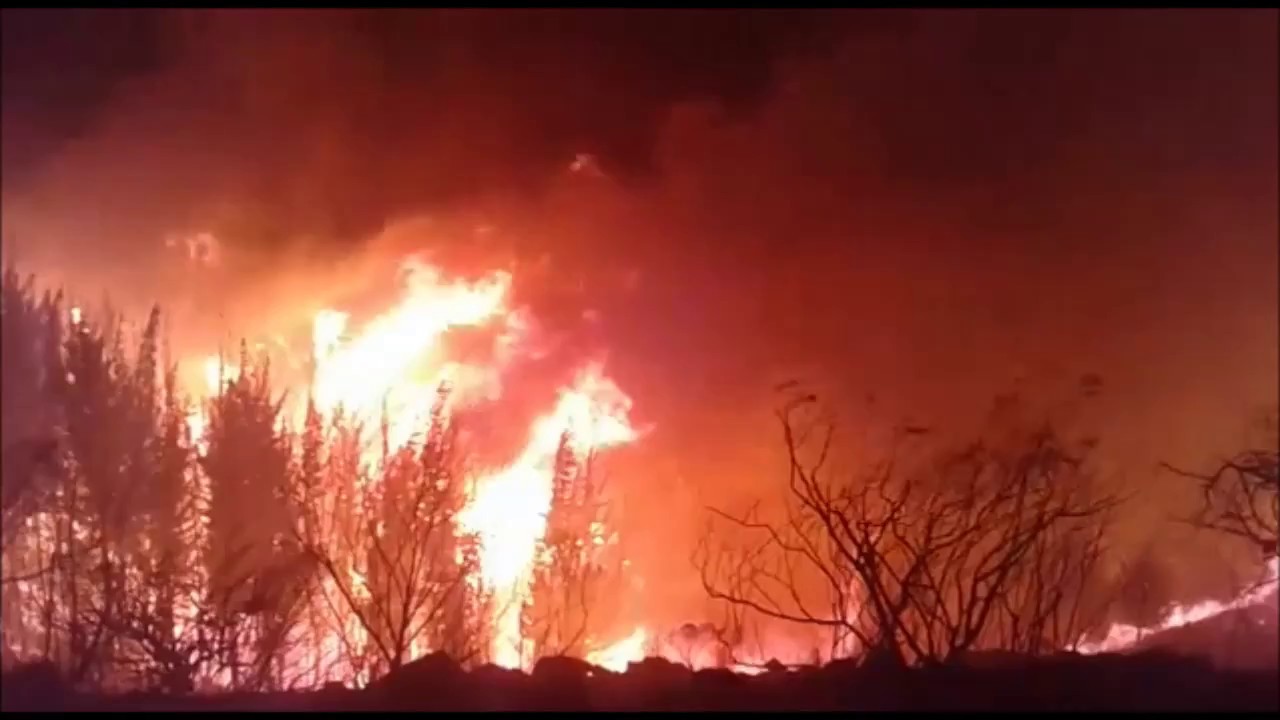 Lee más sobre el artículo Tribunal de la Naturaleza declara que incendios del 2019 fueron un “ecocidio ocasionado por la política de Estado y el agronegocio”