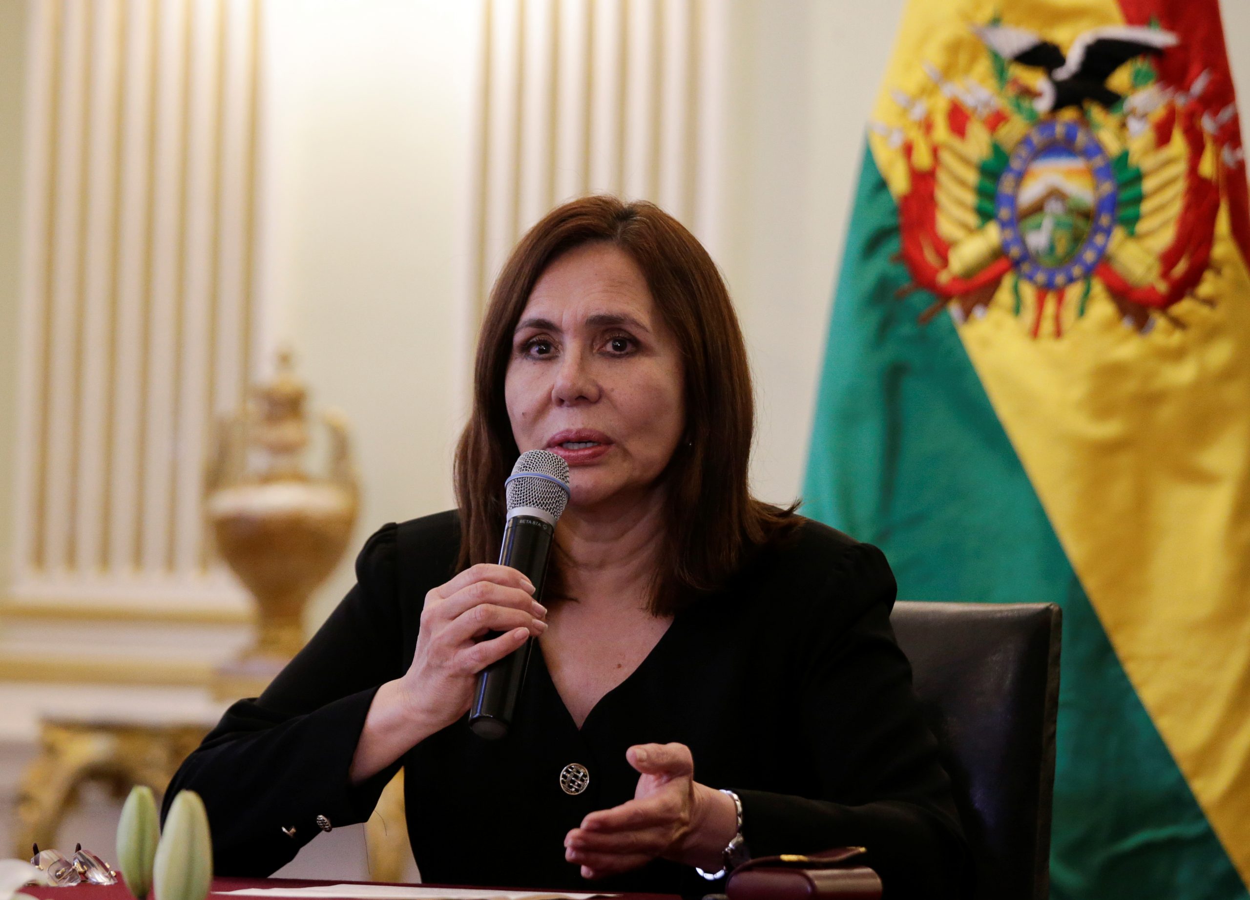 Lee más sobre el artículo Canciller afirma que las relaciones con Argentina “están muy venida a menos”