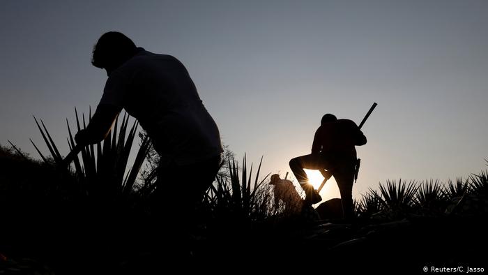 Lee más sobre el artículo ONU: migrantes de Guatemala sufren violación a DD. HH. en México