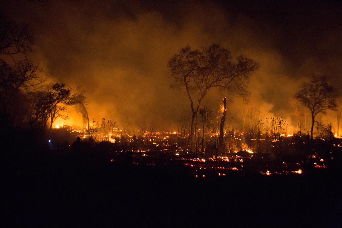 Lee más sobre el artículo Dos municipios cruceños declaran desastre por los incendios