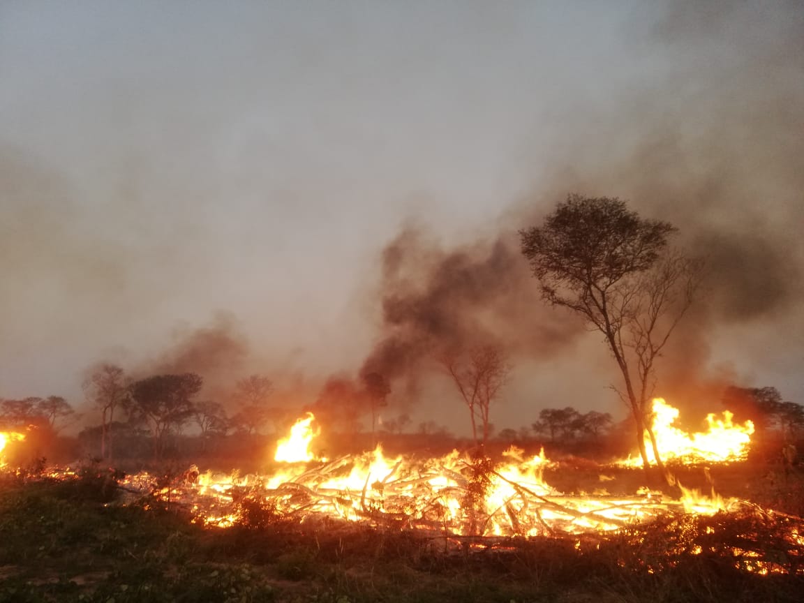 Lee más sobre el artículo 6.000 hectáreas consumidas en incendio forestal en la reserva del Copaibo