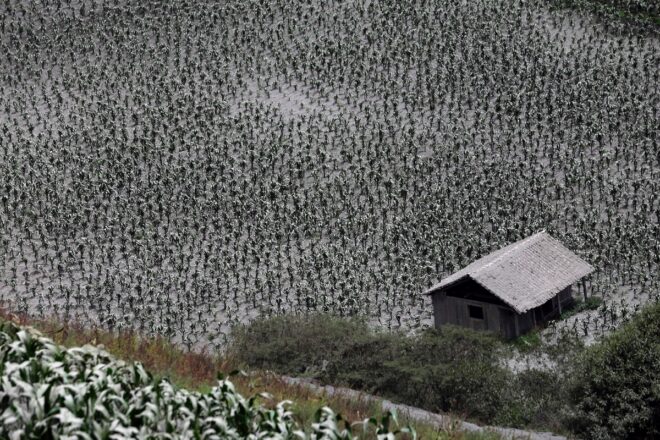 Lee más sobre el artículo Lluvia de ceniza volcánica continúa afectando a pobladores en Ecuador