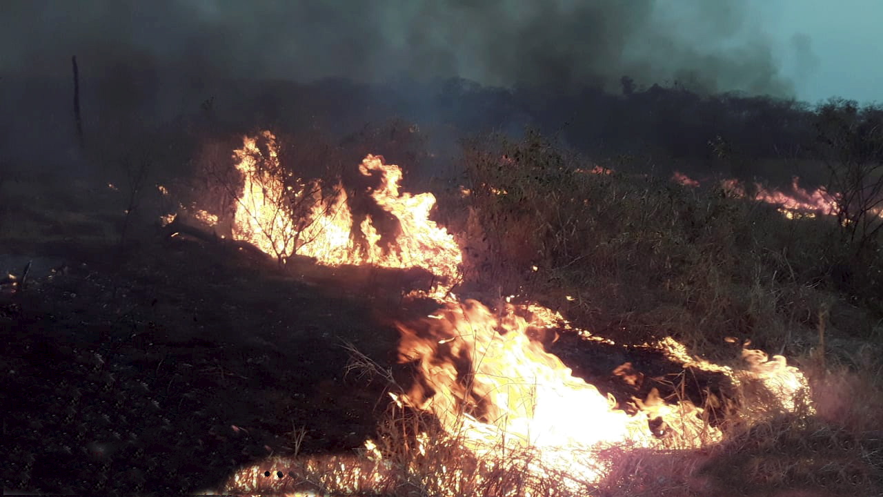 Lee más sobre el artículo Ministro de Defensa informa que incendios en Concepción están ‘prácticamente controlados’