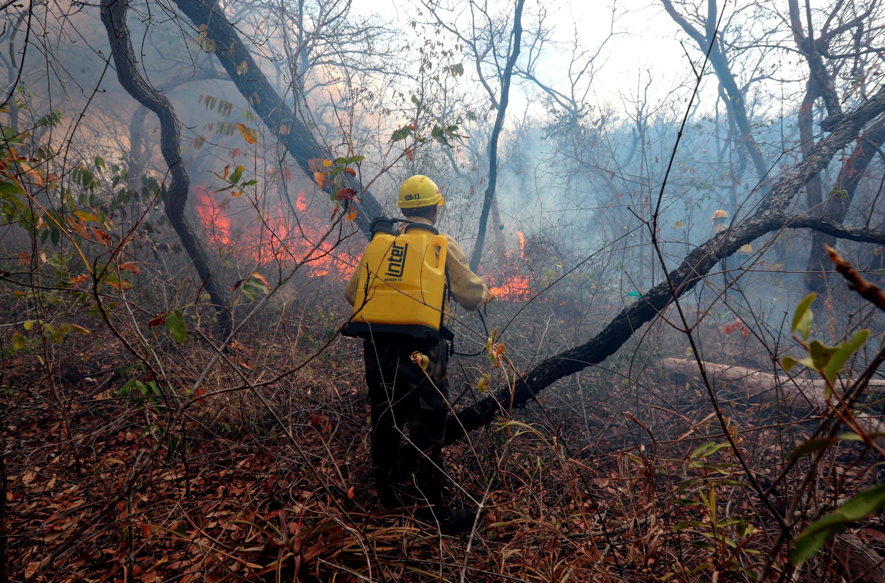 Lee más sobre el artículo Copaibo registra menos incendios