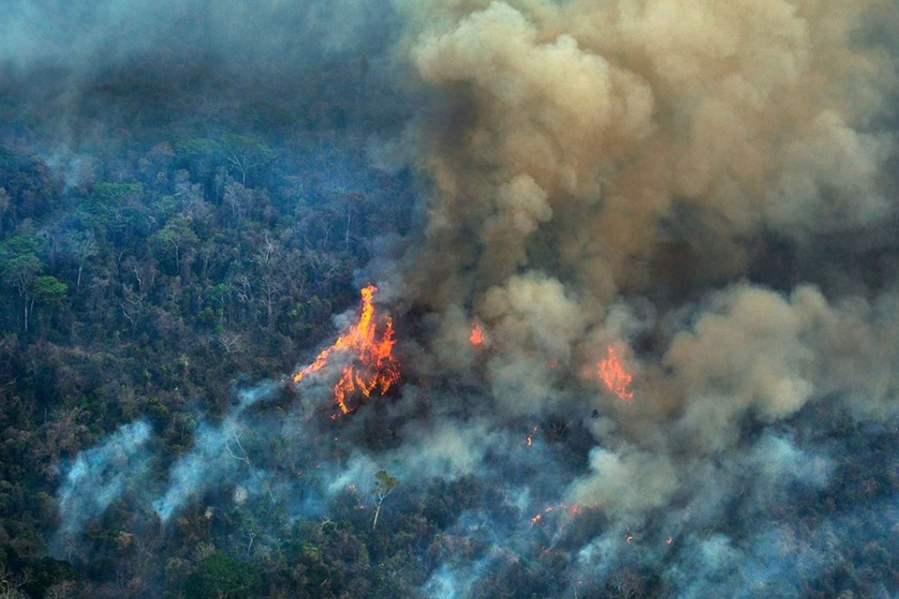 Lee más sobre el artículo Presidenta llega a la zona de incendios y asegura que no ocurrirá lo que pasó en 2019