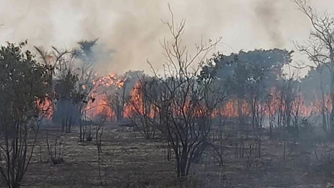 Lee más sobre el artículo Sernap moviliza más de 100 bomberos para combatir el incendio en el Parque Noel Kempff Mercado