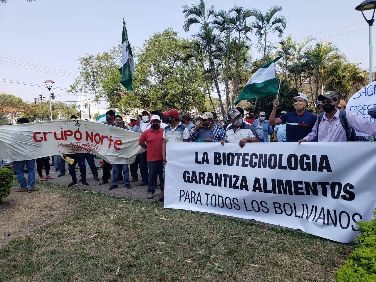 Lee más sobre el artículo Deniegan acción popular en contra del cultivo de transgénicos