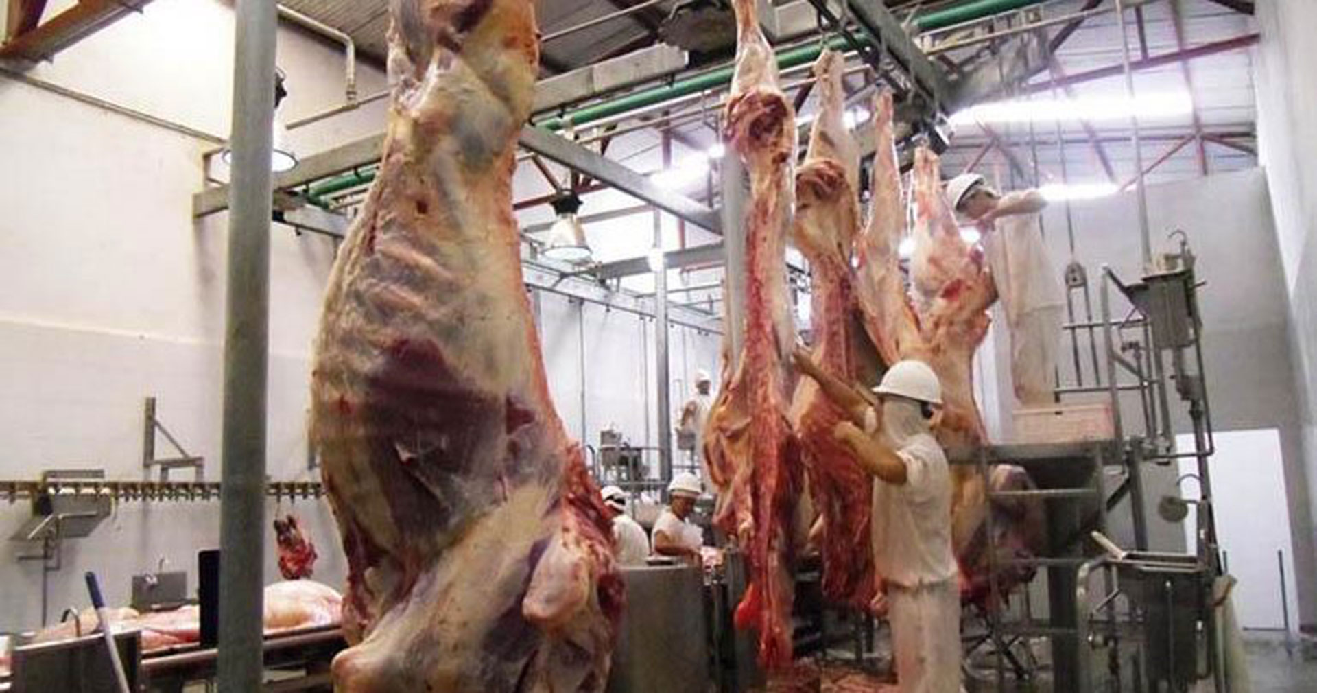 Lee más sobre el artículo Se triplicó la exportación de carne de res en septiembre