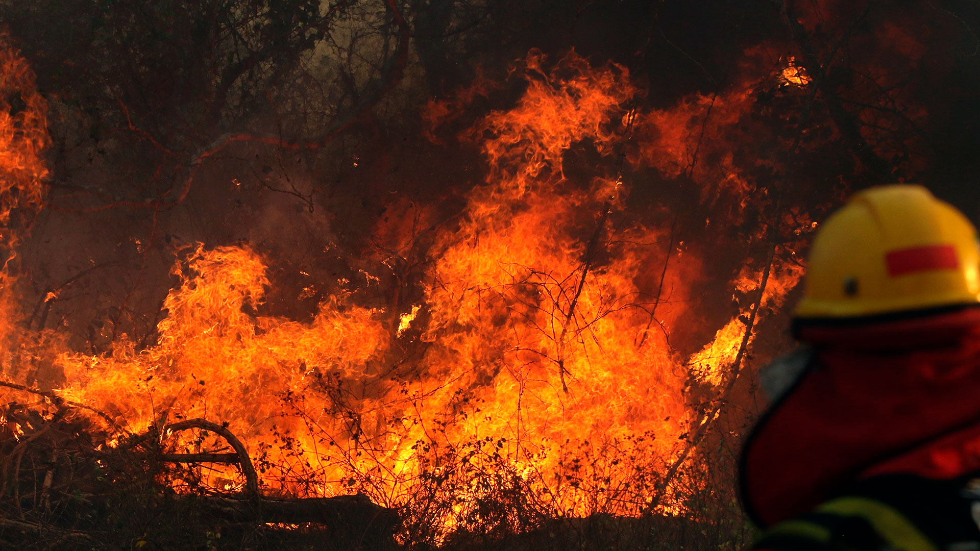 Lee más sobre el artículo Los tres municipios de Guarayos tienen incendios, “éstos son de prioridad”, según el último reporte