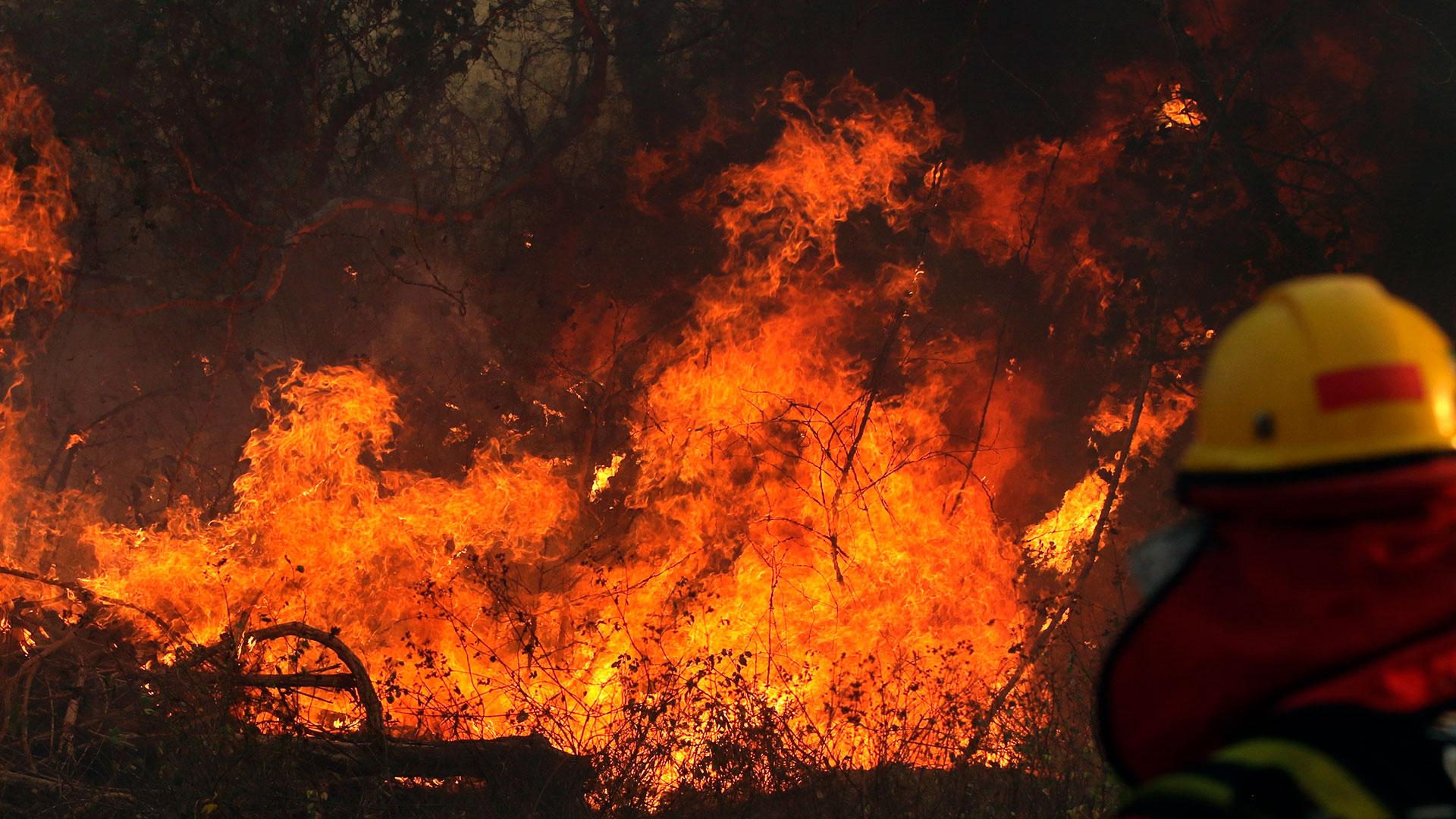 Lee más sobre el artículo Gobernación de Santa Cruz reporta 38 incendios en 21 municipios