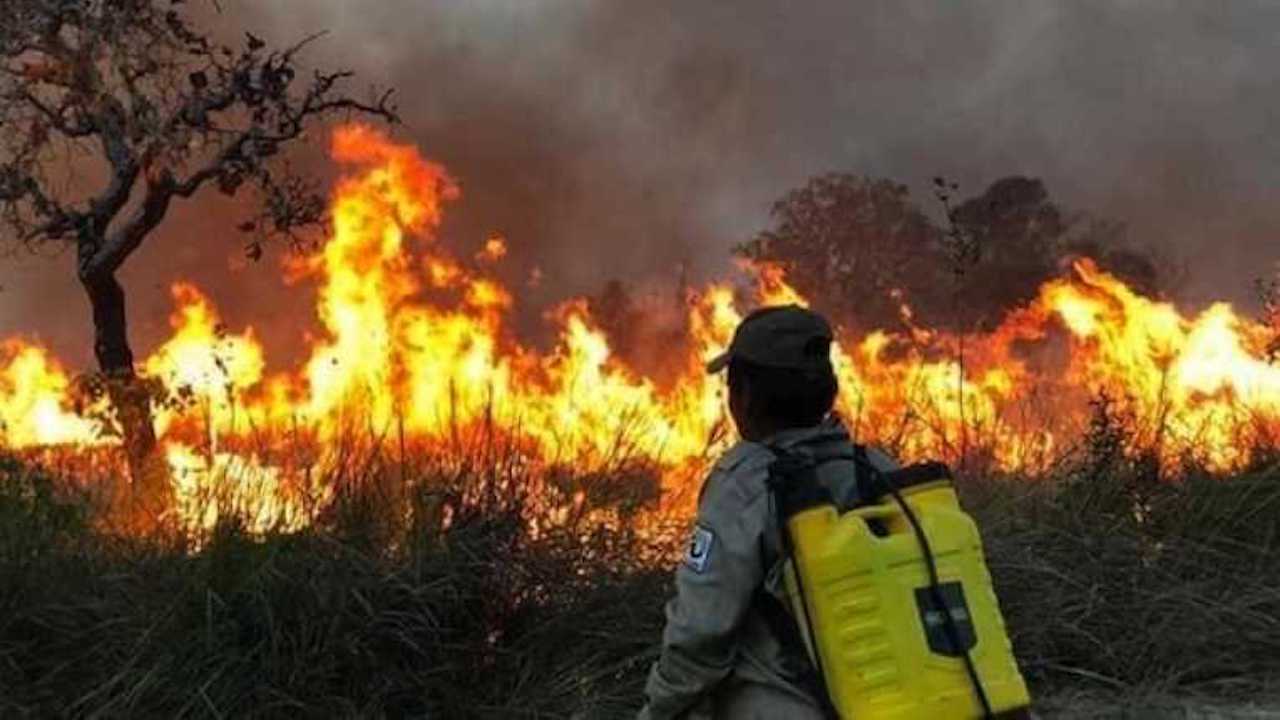 Lee más sobre el artículo Incendios: hay riesgo de que la situación se vuelva más crítica, se esperan temperaturas de hasta 42 grados y vientos