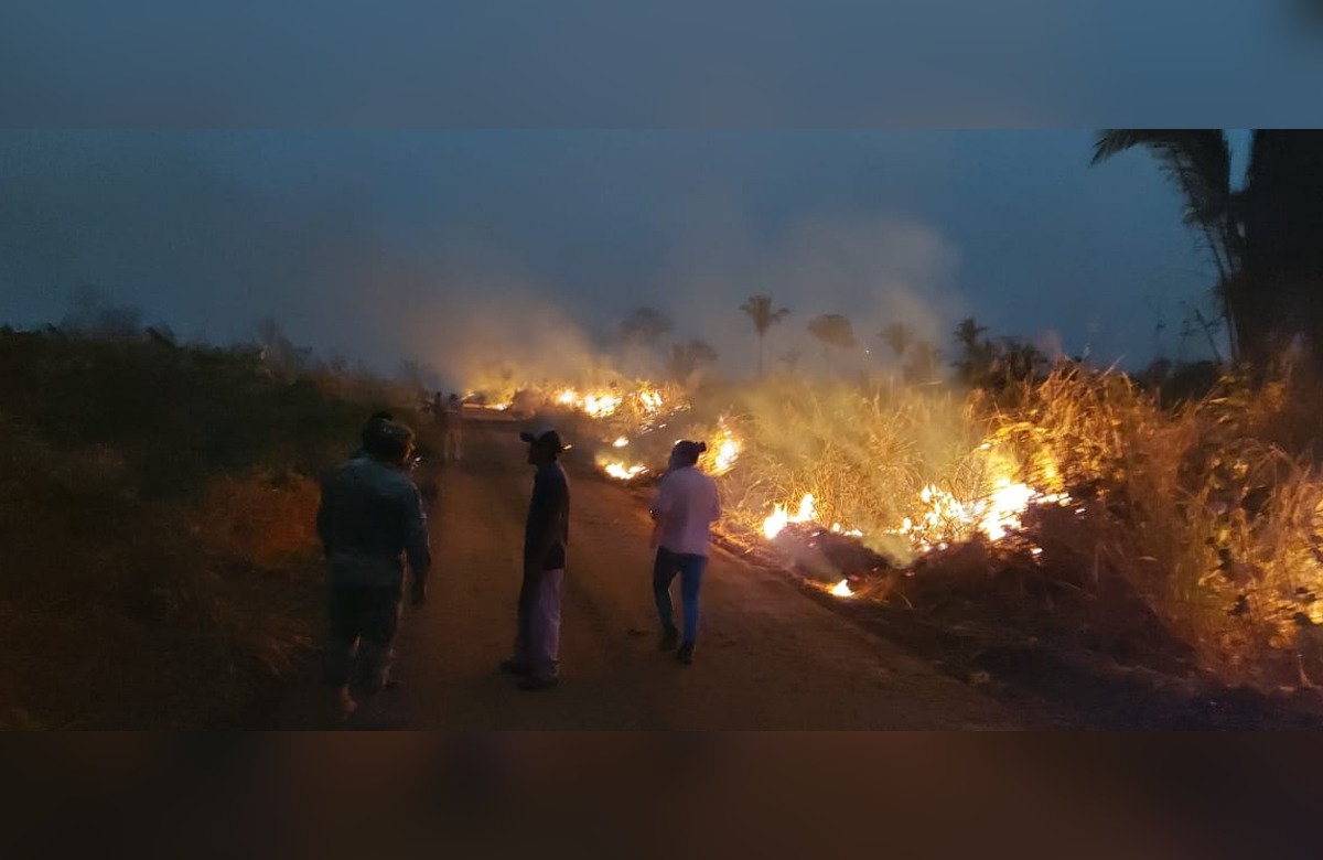 Lee más sobre el artículo Reportan 57 incendios que azotan a 1,39 millones de hectáreas en todo el país