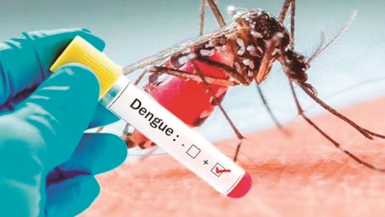 Lee más sobre el artículo Sedes confirma 62.000 casos sospechosos de dengue en lo que va del año; se emitirá una alerta departamental