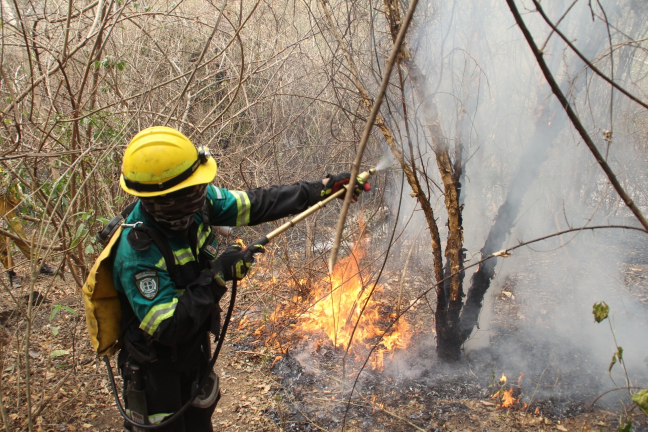 Lee más sobre el artículo Santa Cruz reporta 11 incendios activos en el departamento