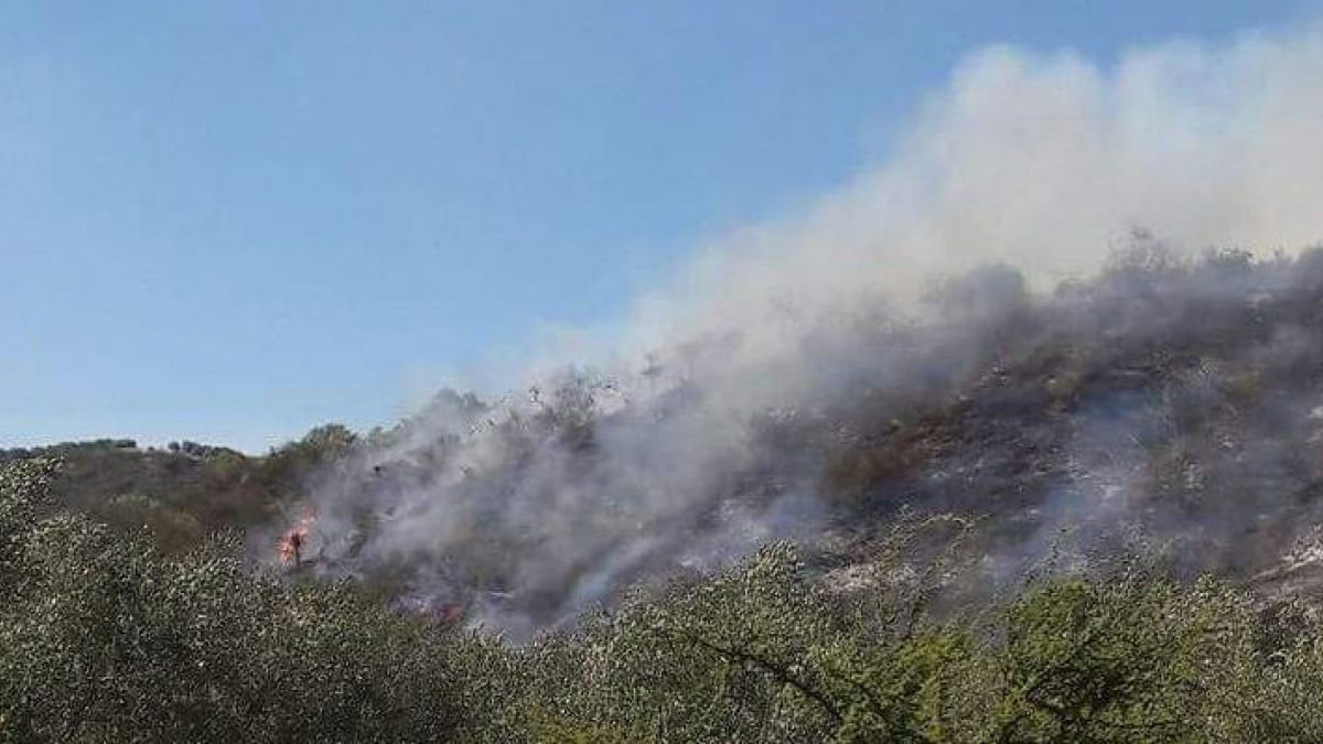 Lee más sobre el artículo Se mantienen los dos incendios forestales activos en Santa Cruz