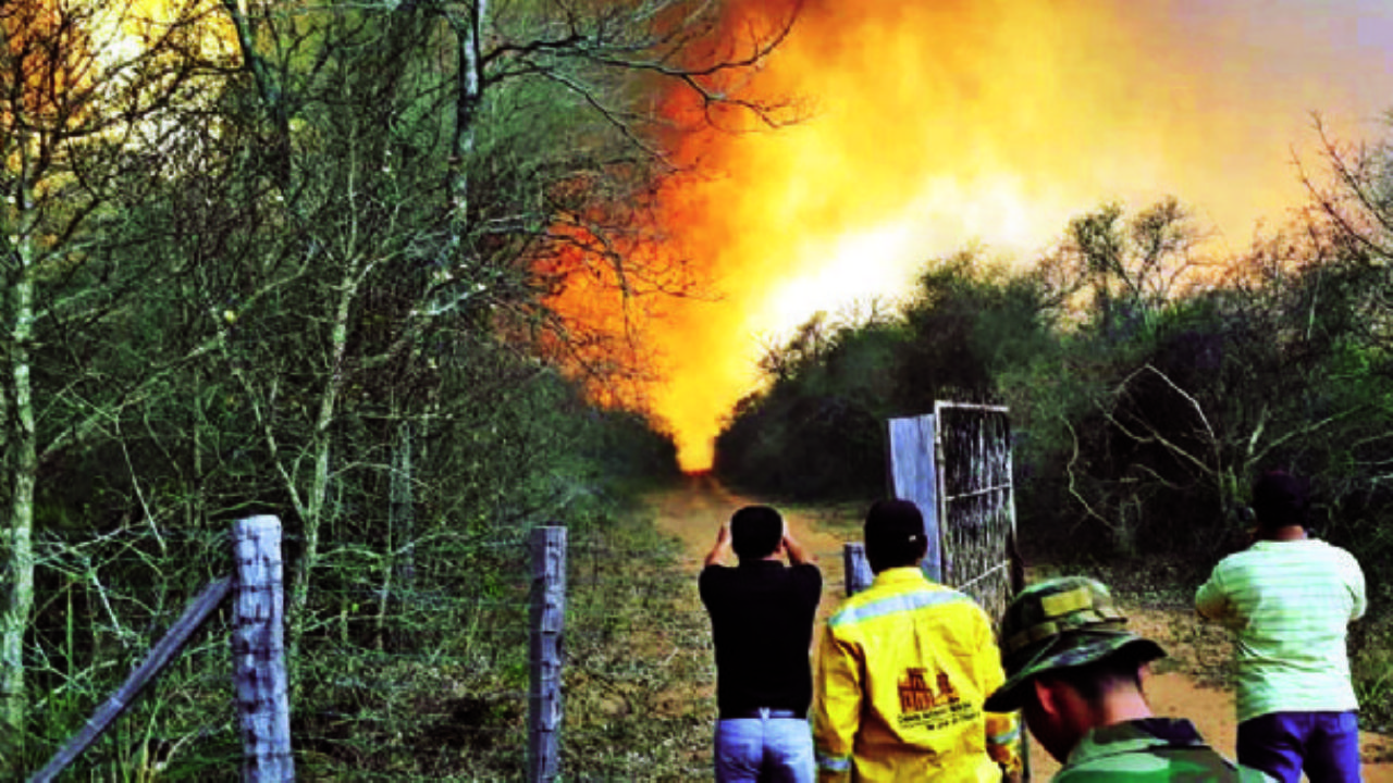 Lee más sobre el artículo En Santa Cruz queda un incendio por mitigar; azota al Parque Kaa Iya