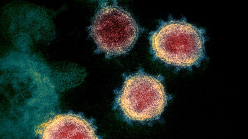 Lee más sobre el artículo Mutación del coronavirus: Sudáfrica investiga otra variante del patógeno vinculada a su segunda ola de infecciones