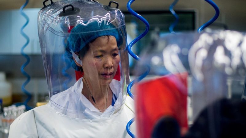 Lee más sobre el artículo “No tenemos nada que ocultar”: la científica estrella de Wuhan invita a la OMS a visitar el laboratorio en el centro de la polémica por el origen del coronavirus