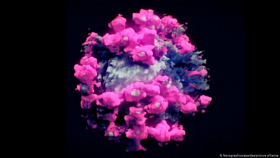Lee más sobre el artículo Científicos logran la primera fotografía tridimensional del coronavirus
