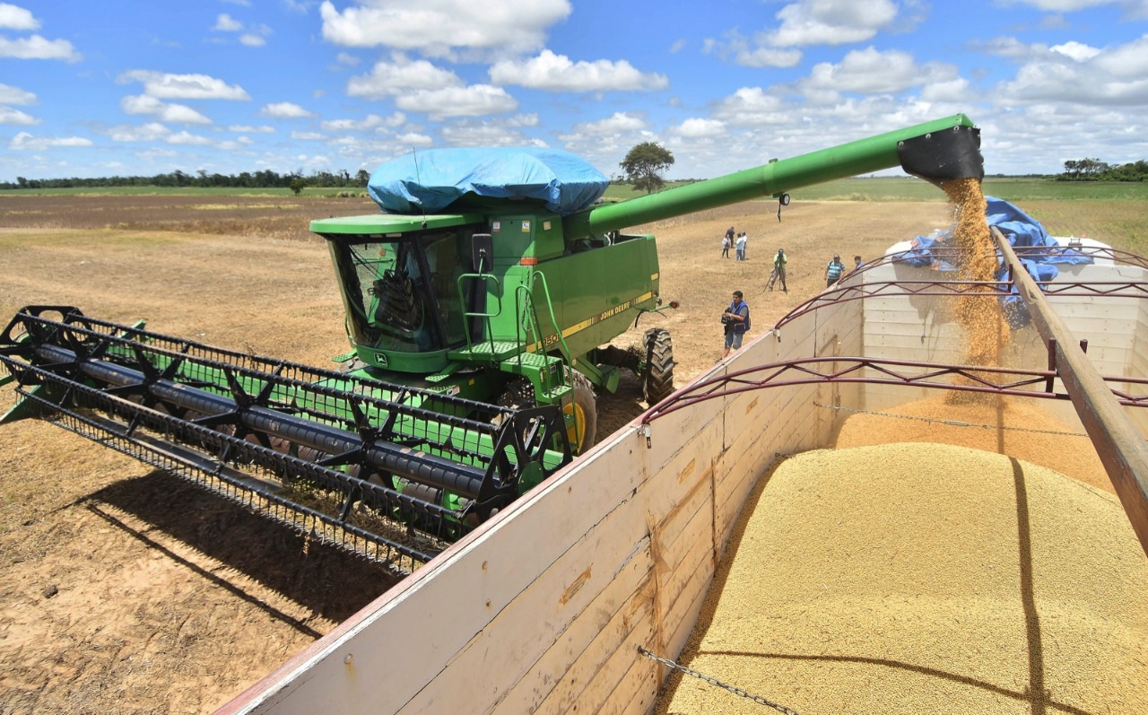 Lee más sobre el artículo Productores de soya rechazan imposición de precios del gobierno