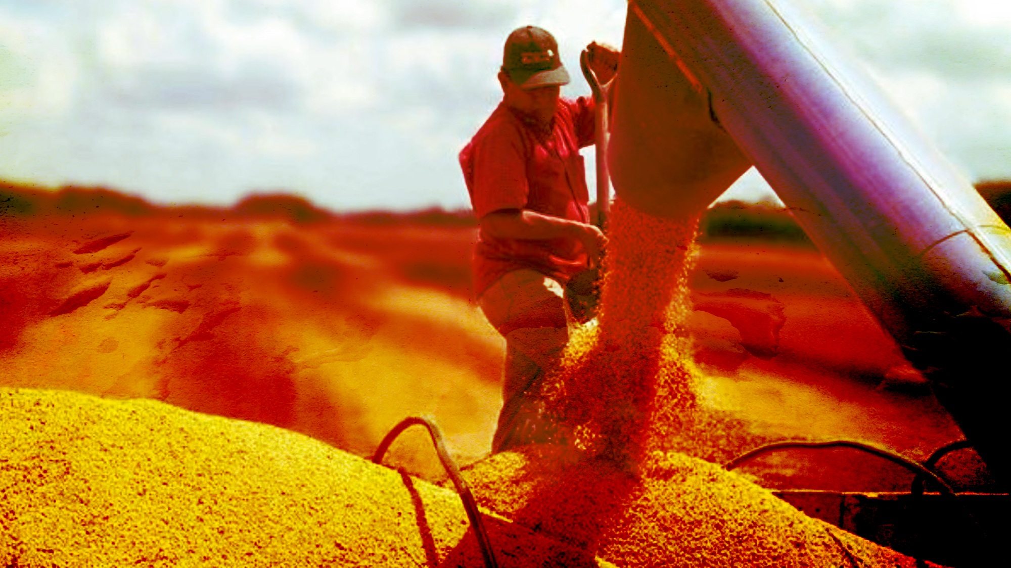 Lee más sobre el artículo Desmienten desabastecimiento de harina de soya