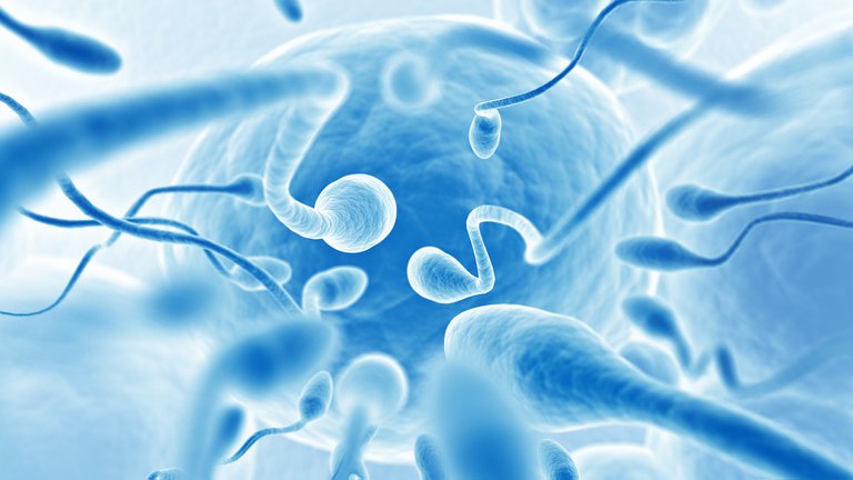 Lee más sobre el artículo Alerta: qué nos están diciendo nuestros espermatozoides sobre el futuro de la raza humana