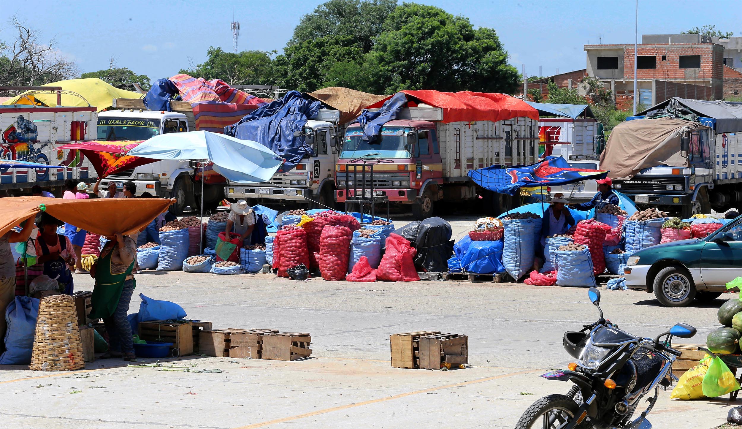 Lee más sobre el artículo Cuarentena: productores que no ingresaron frutas y verduras a la ciudad ya tienen luz verde para llegar al Abasto