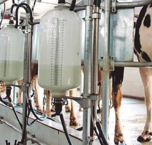 Lee más sobre el artículo Contrabando y bajo consumo de lácteos afecta al sector
