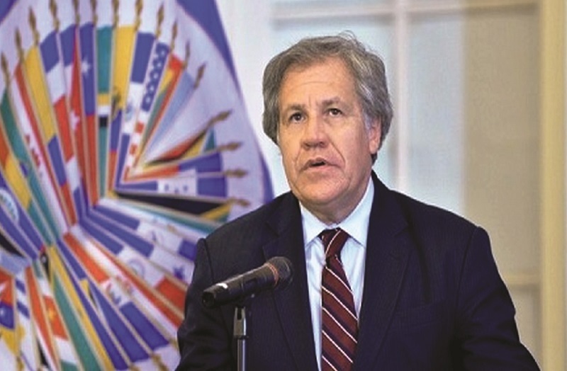 Lee más sobre el artículo Bazán: Almagro pedirá informe a Observatorio para aplicar Carta Democrática en Bolivia