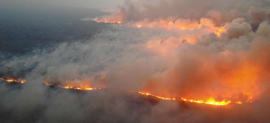 Lee más sobre el artículo Instructivo de la ABT allana el camino a los desmontes y eleva el riesgo de fuego