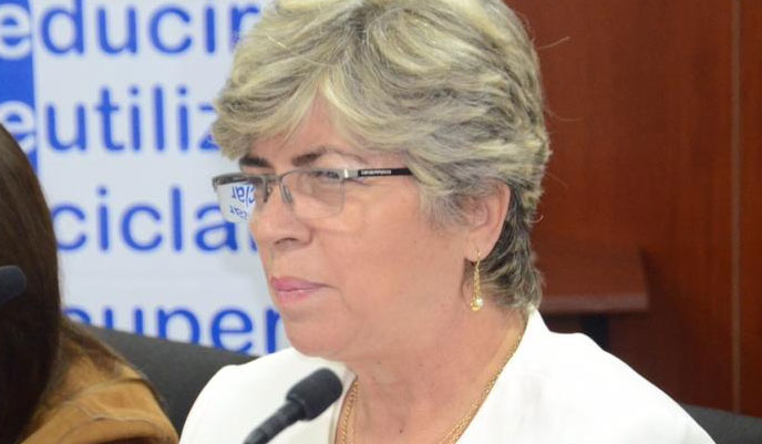 Lee más sobre el artículo Viceministro Rodas afirma que no se tiene evidencia de que Pinckert haya pasado la frontera